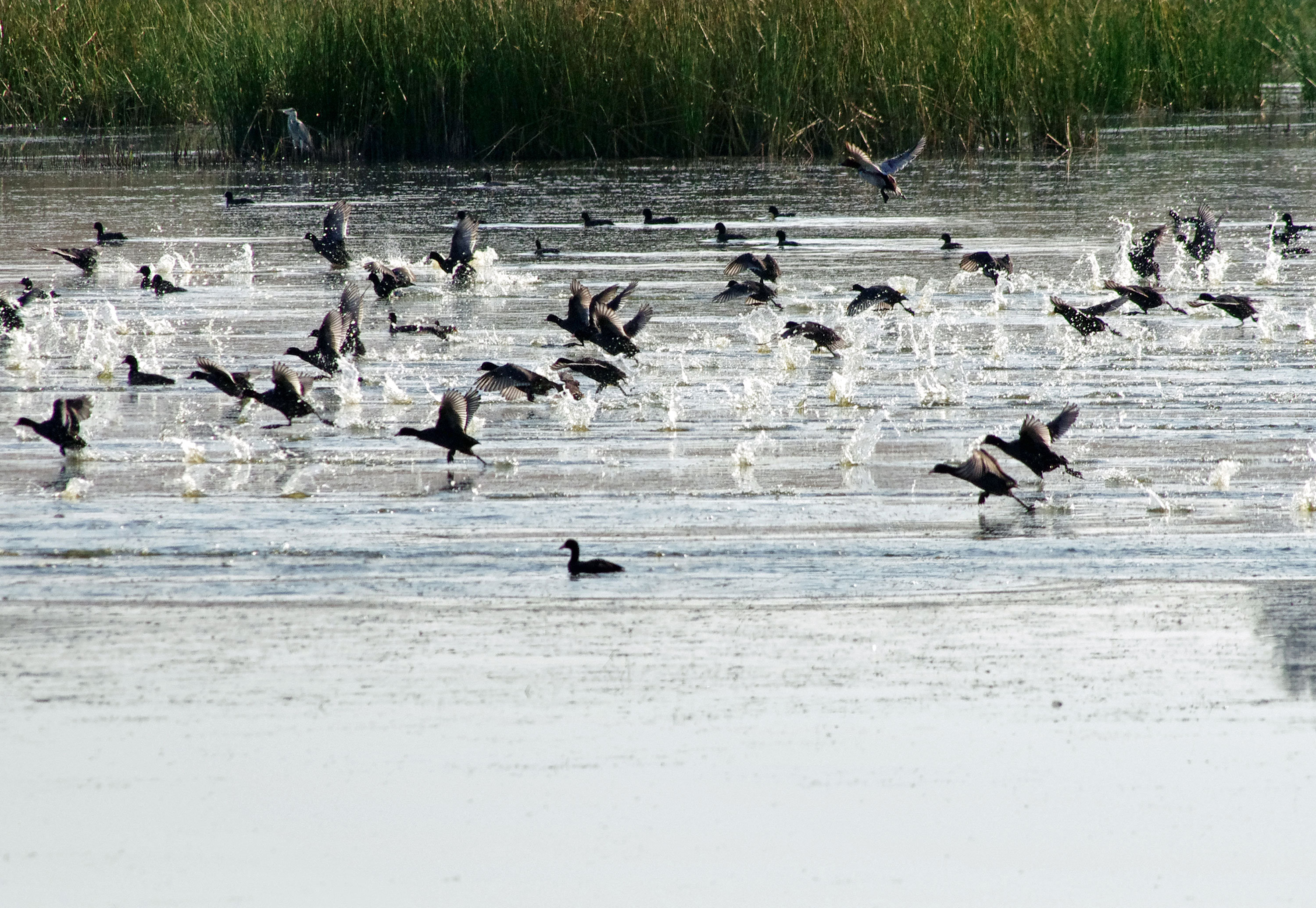 Mendi Hotel Halkidiki
