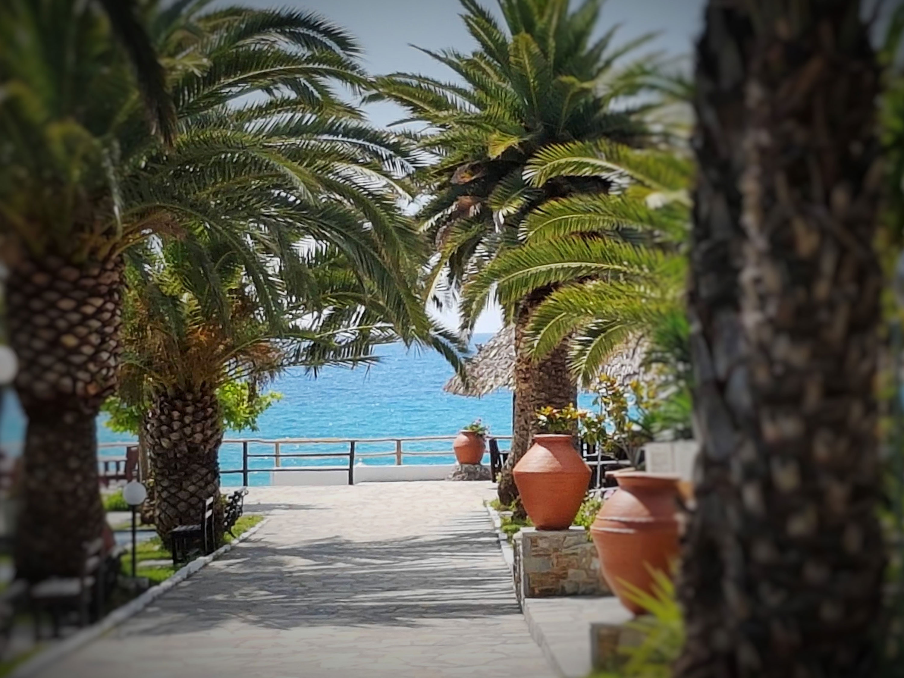 Mendi Hotel Halkidiki