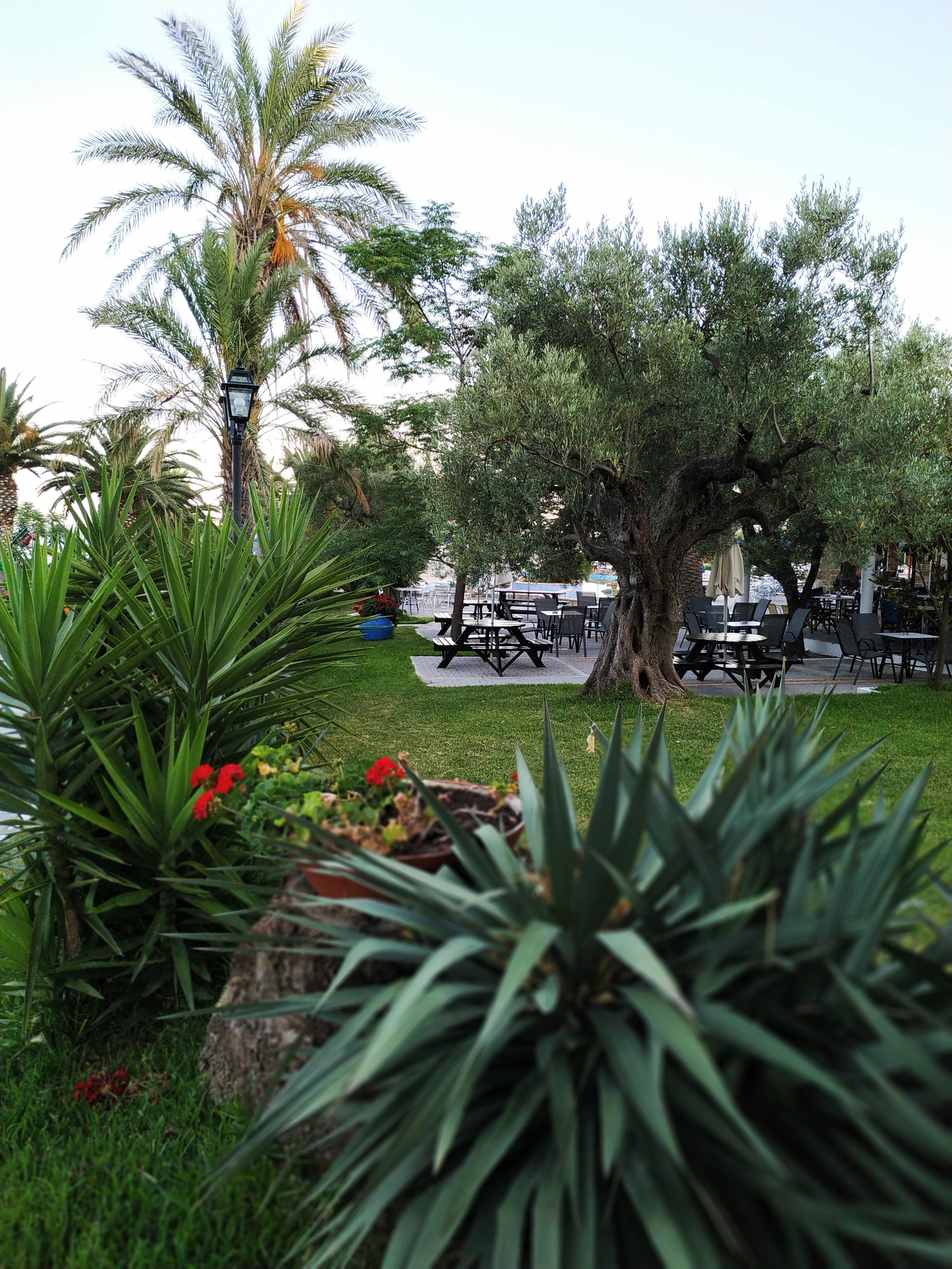 Mendi Hotel Halkidiki